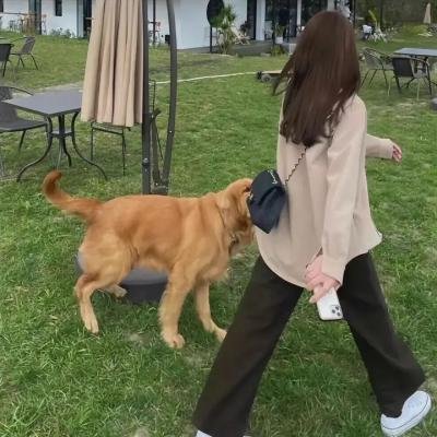 藏尸楼